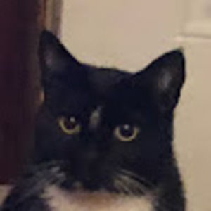 Meet your Posher, Matt